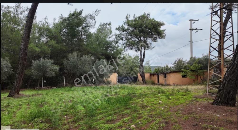 Kırıklar Ana Yol 7+2 Dönüm -yüzme Havuzu Müştemilat Çiftlik Evi - Görsel 23