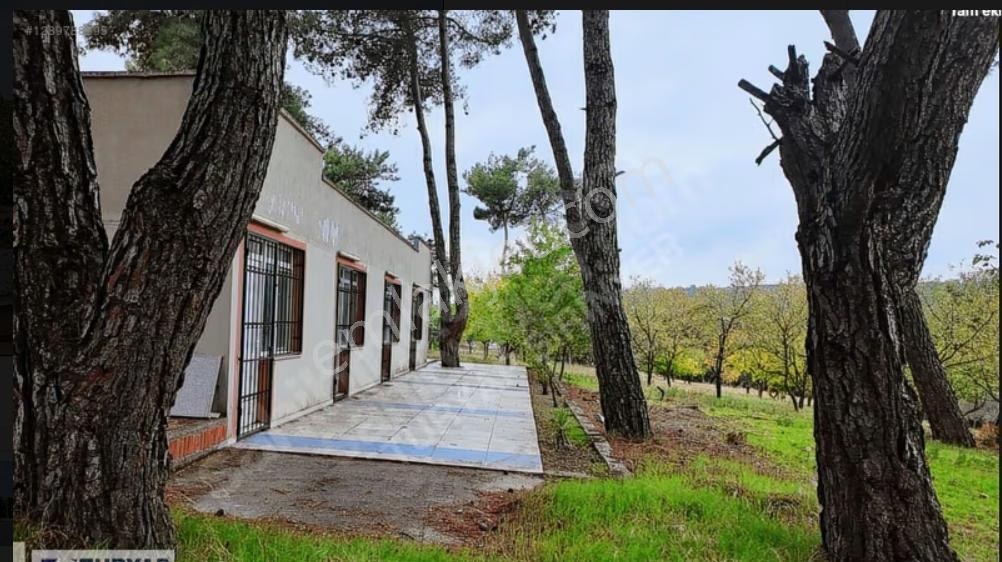 Kırıklar Ana Yol 7+2 Dönüm -yüzme Havuzu Müştemilat Çiftlik Evi - Görsel 15