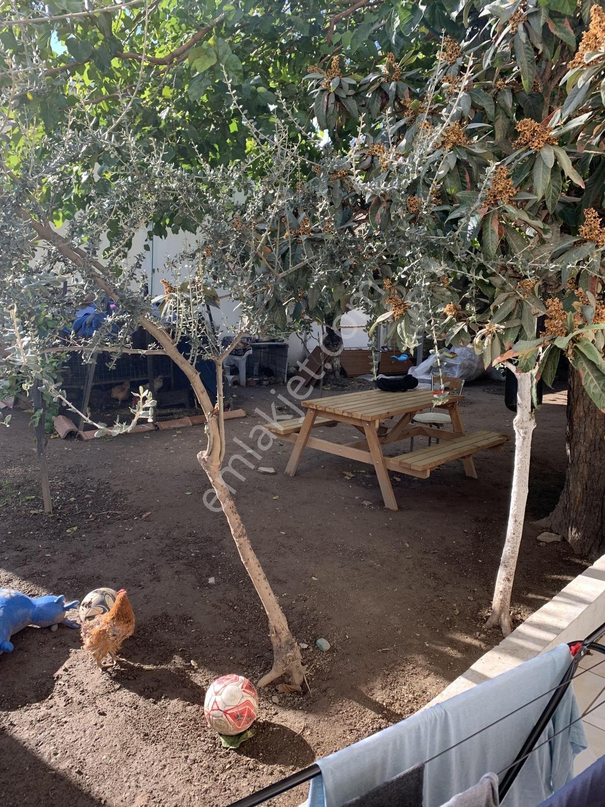 Bodrum Türkkuyusu Mahallesi Müstakil Ev Ve Arsası - Görsel 5