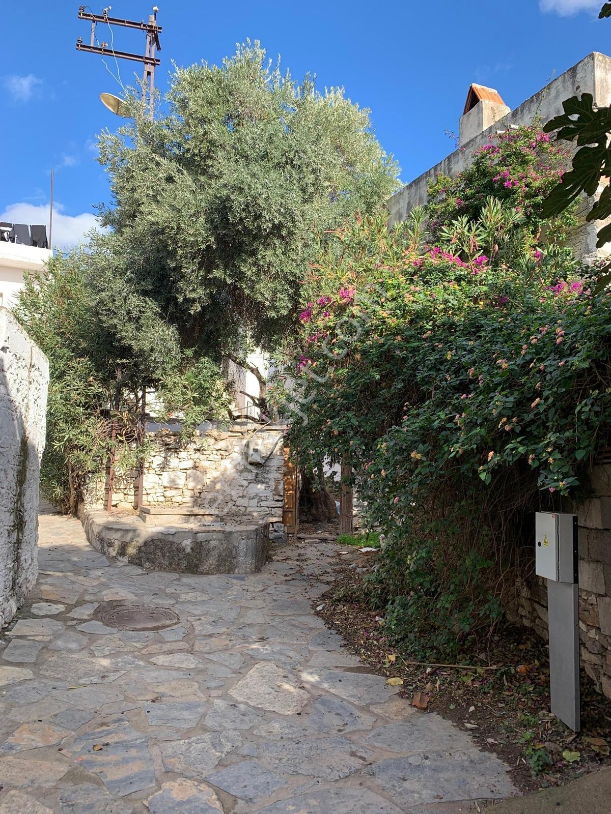 Bodrum Türkkuyusu Mahallesi Müstakil Ev Ve Arsası - Görsel 11