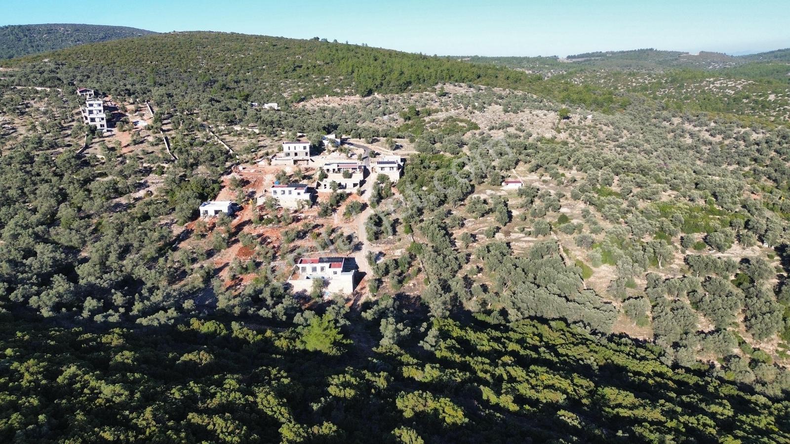Bodrum Kızılağaç Yatırımlık Kooperatif Hisseli Parseller - Görsel 16