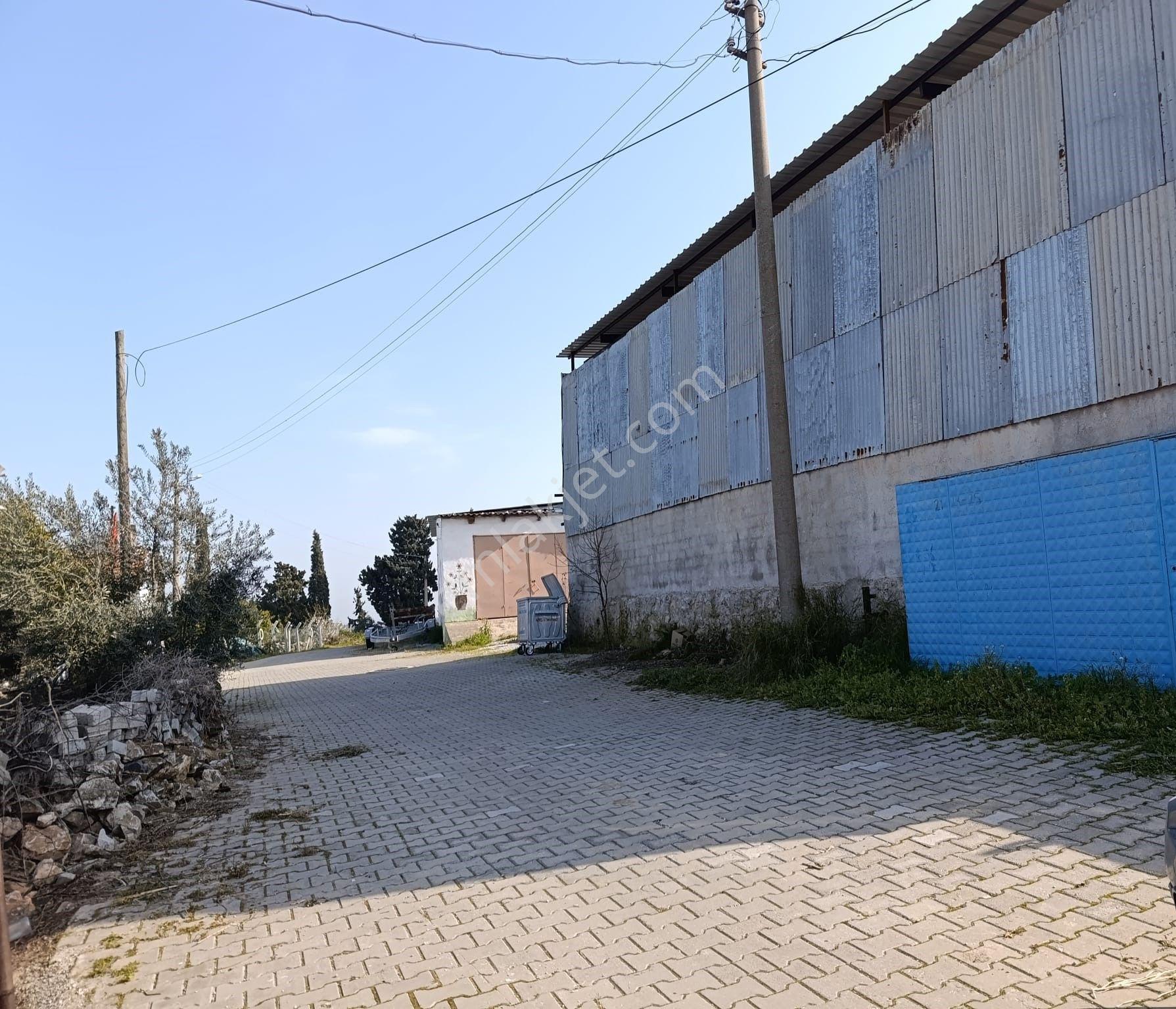 Aydın Söke Sarıkemerde Muhteşem Söke Ovası Manzaralı Satılık Müstakil Ev - Görsel 9