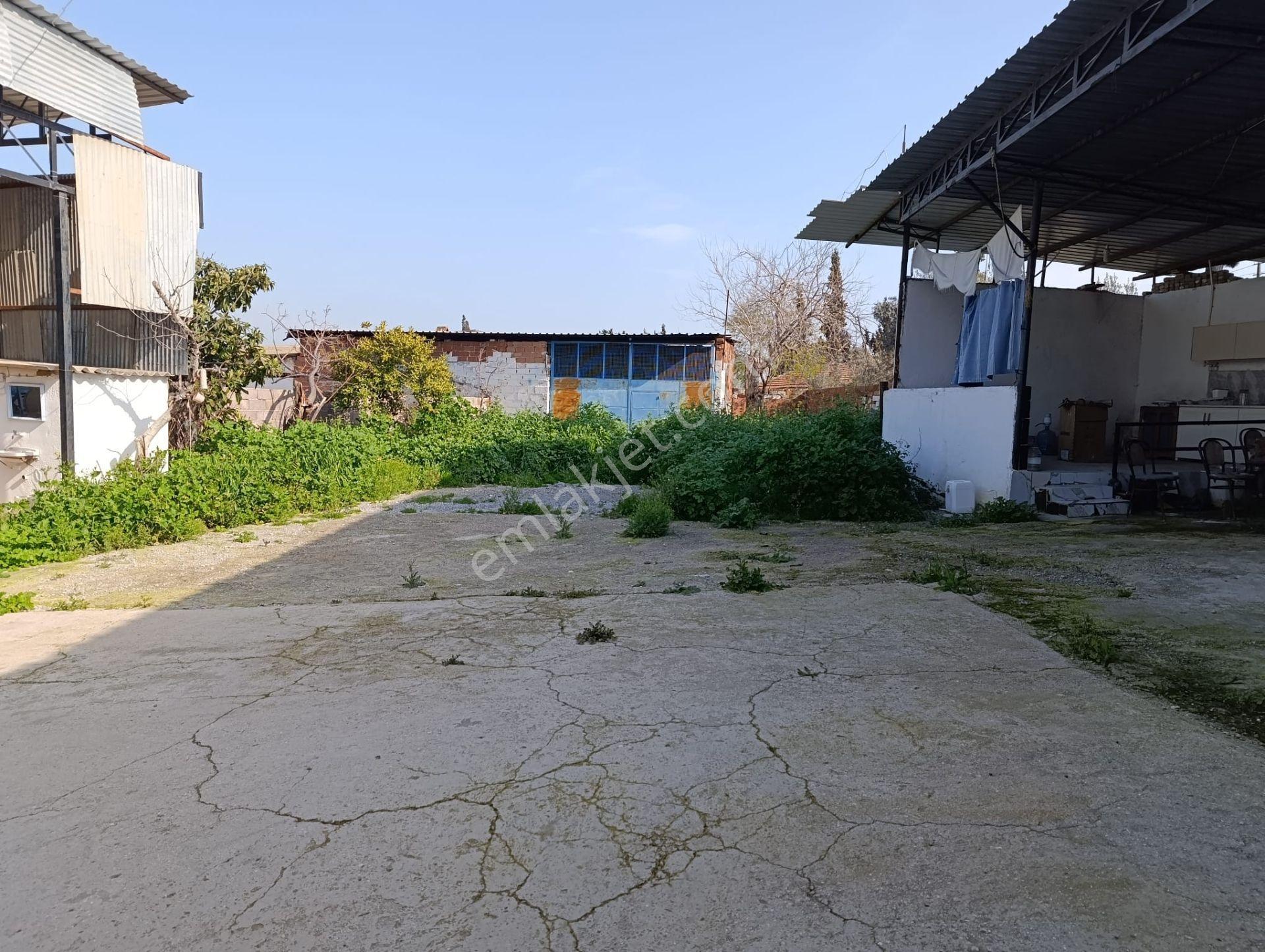 Aydın Söke Sarıkemerde Muhteşem Söke Ovası Manzaralı Satılık Müstakil Ev - Görsel 26