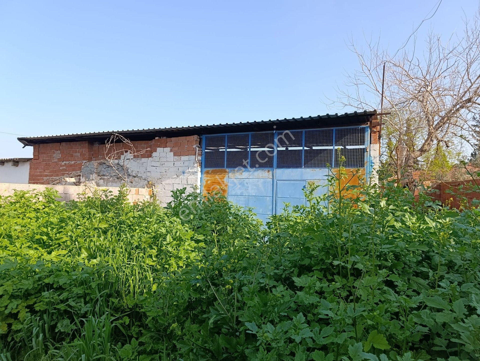 Aydın Söke Sarıkemerde Muhteşem Söke Ovası Manzaralı Satılık Müstakil Ev - Görsel 11