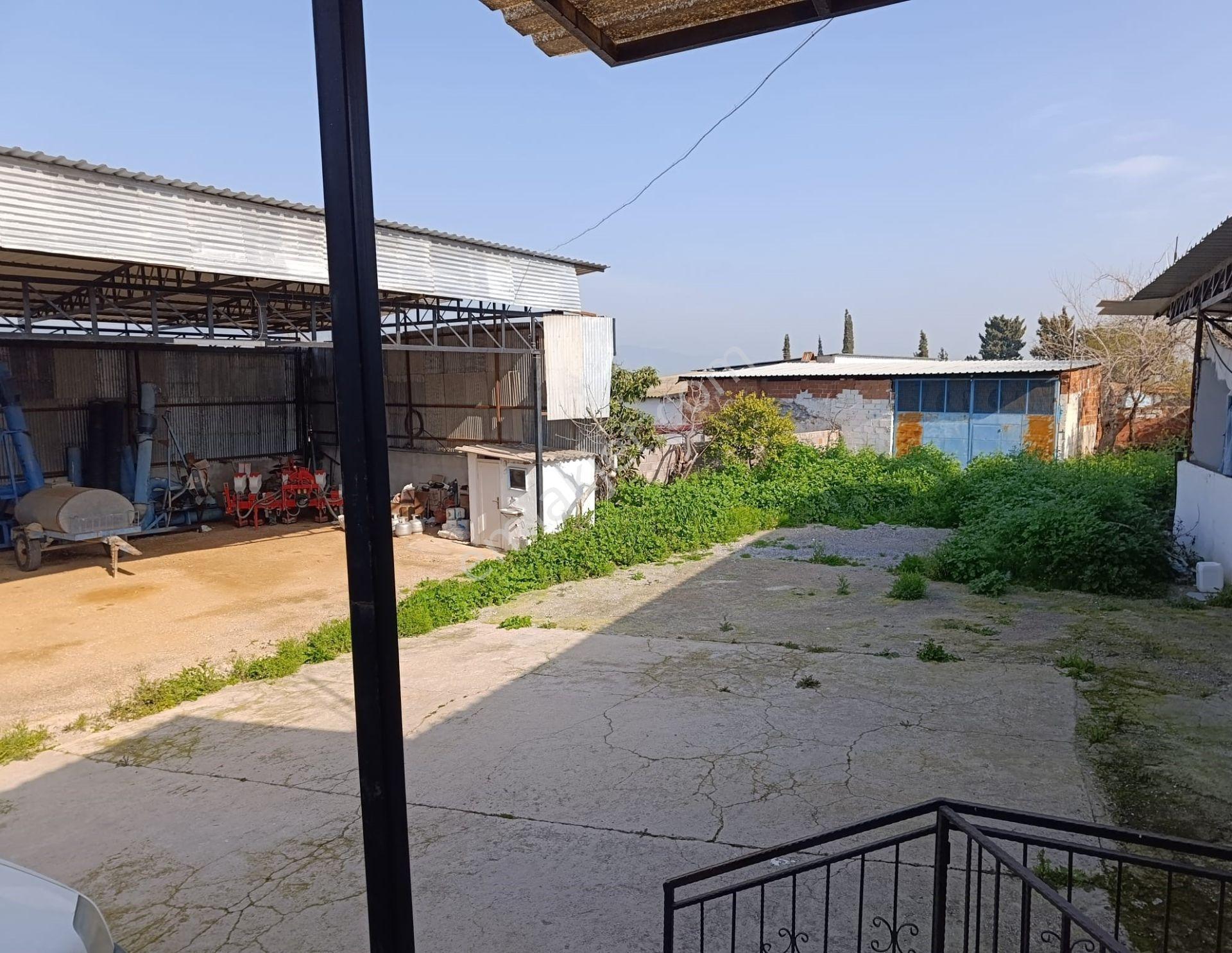 Aydın Söke Sarıkemerde Muhteşem Söke Ovası Manzaralı Satılık Müstakil Ev - Görsel 18