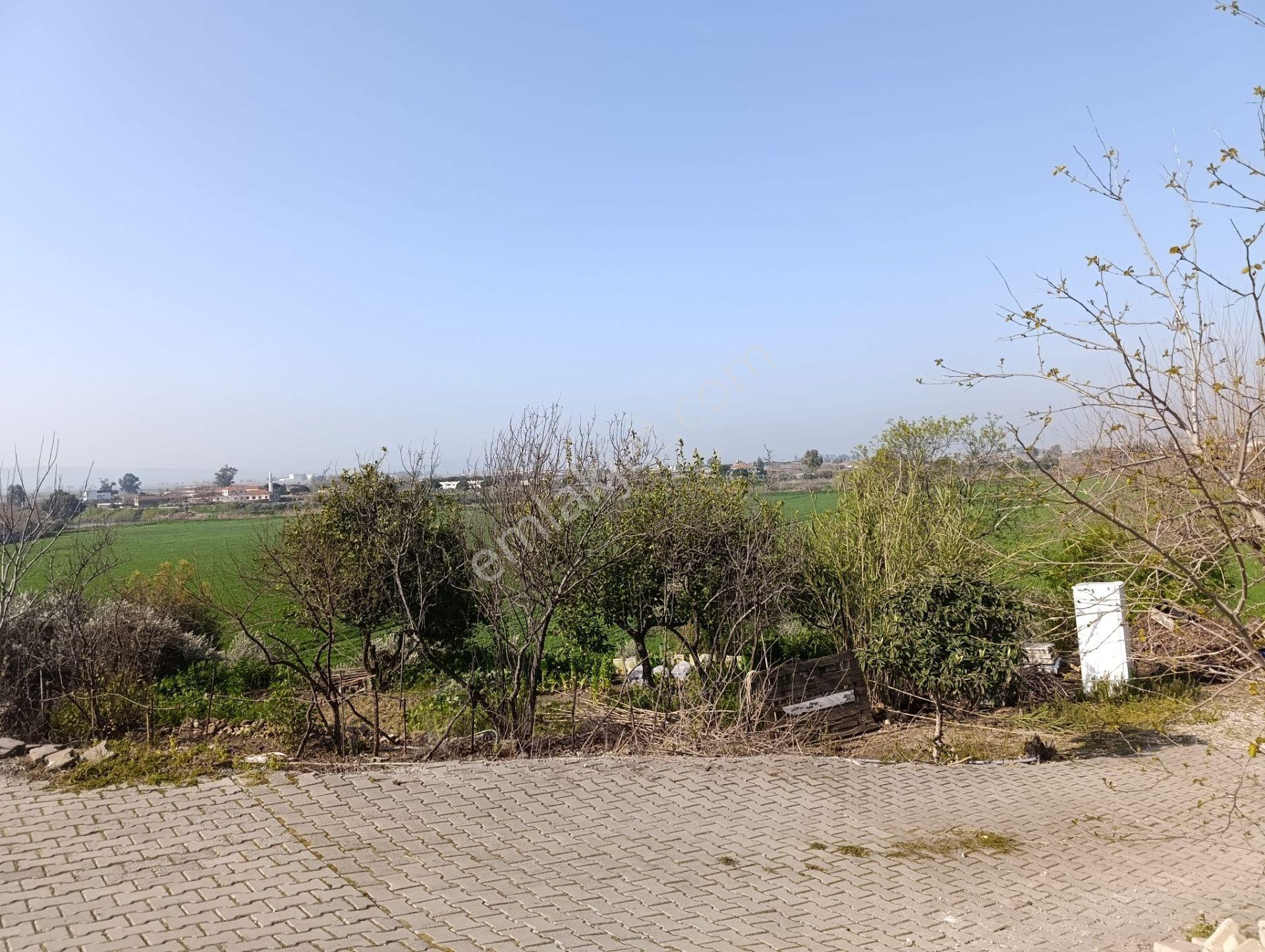 Aydın Söke Sarıkemerde Muhteşem Söke Ovası Manzaralı Satılık Müstakil Ev - Görsel 6