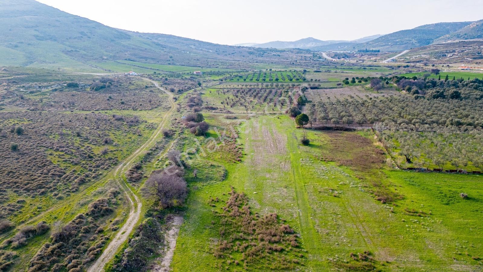 Foça Yenibağarasında Satılık Tarla - Görsel 29