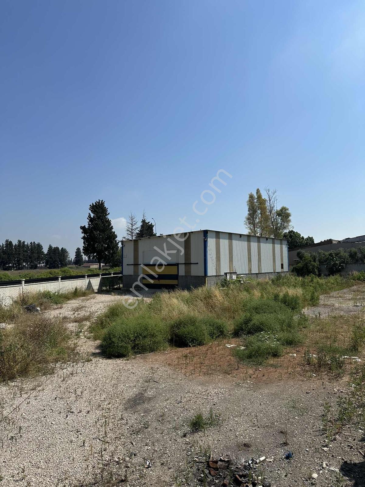 Zorlu'dan Ceyhanın Girişinde Uygun Kiralık Depo - Görsel 2