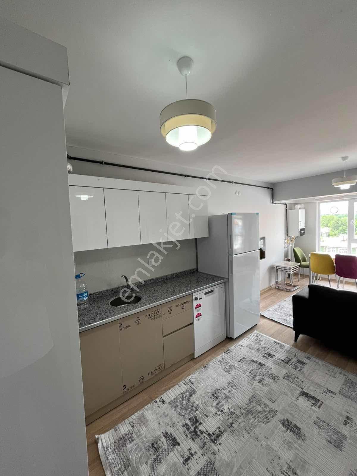 Ekin Group'tan Aşiyan Mevkii Sıfır Daire Sıfır Eşya 1+1 Kiralık - Görsel 31