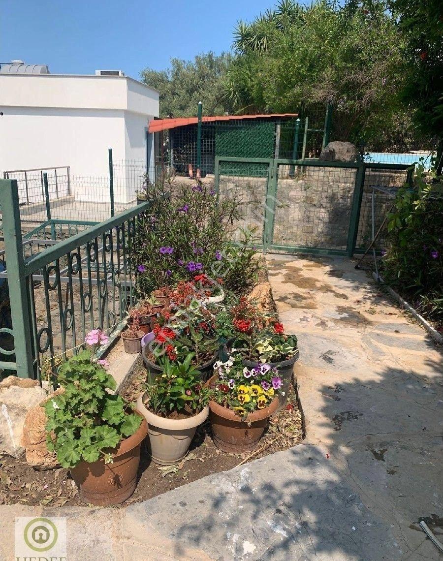 Bodrum Ortakent Geniş 3+1 Eşyalı Ebeveyn Banyolu Bahçeli Giriş Kat - Görsel 21