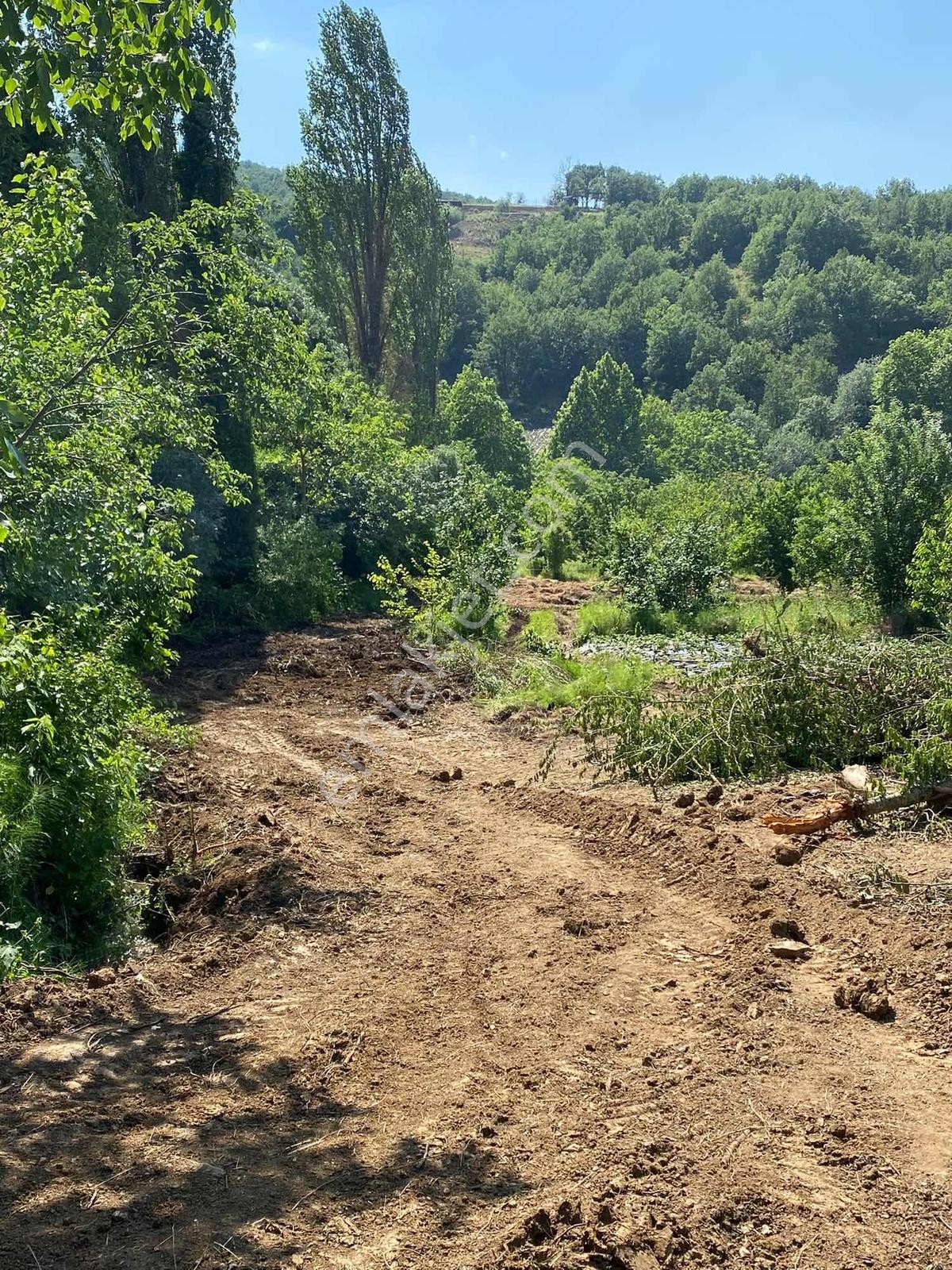 Bursa Nilüfer İnegazi Mahalesinde Satılık Fırsat Tarla
