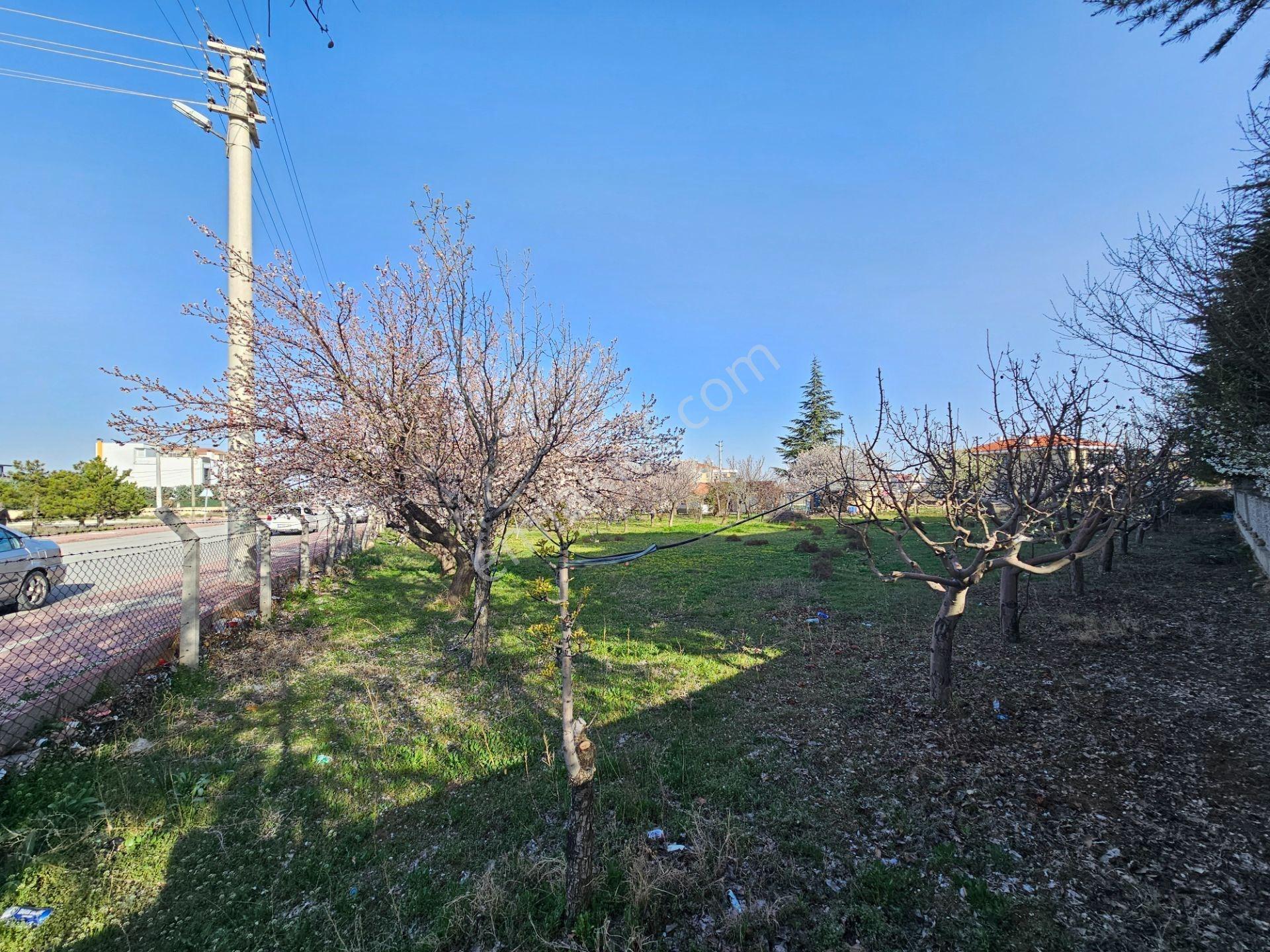 Şyapar'dan Buhara Mah. 2 Kata İmarlı 1844 M² Köşe Parsel Arsa - Görsel 15