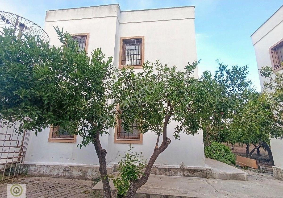 Bodrum Ortakent Kiralık Mandalina Bahçesinde Dubleks Müstakil Ev 4+1 170m² Butik Site - Görsel 49