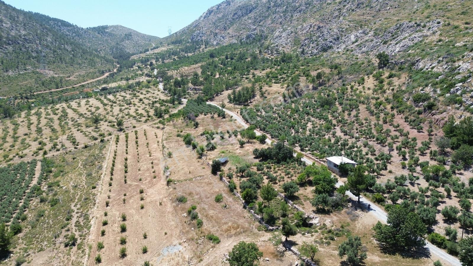 Karakuş Emlaktan Hasancık'ta 706 M² Yaylalık Satılık Arsa - Görsel 2