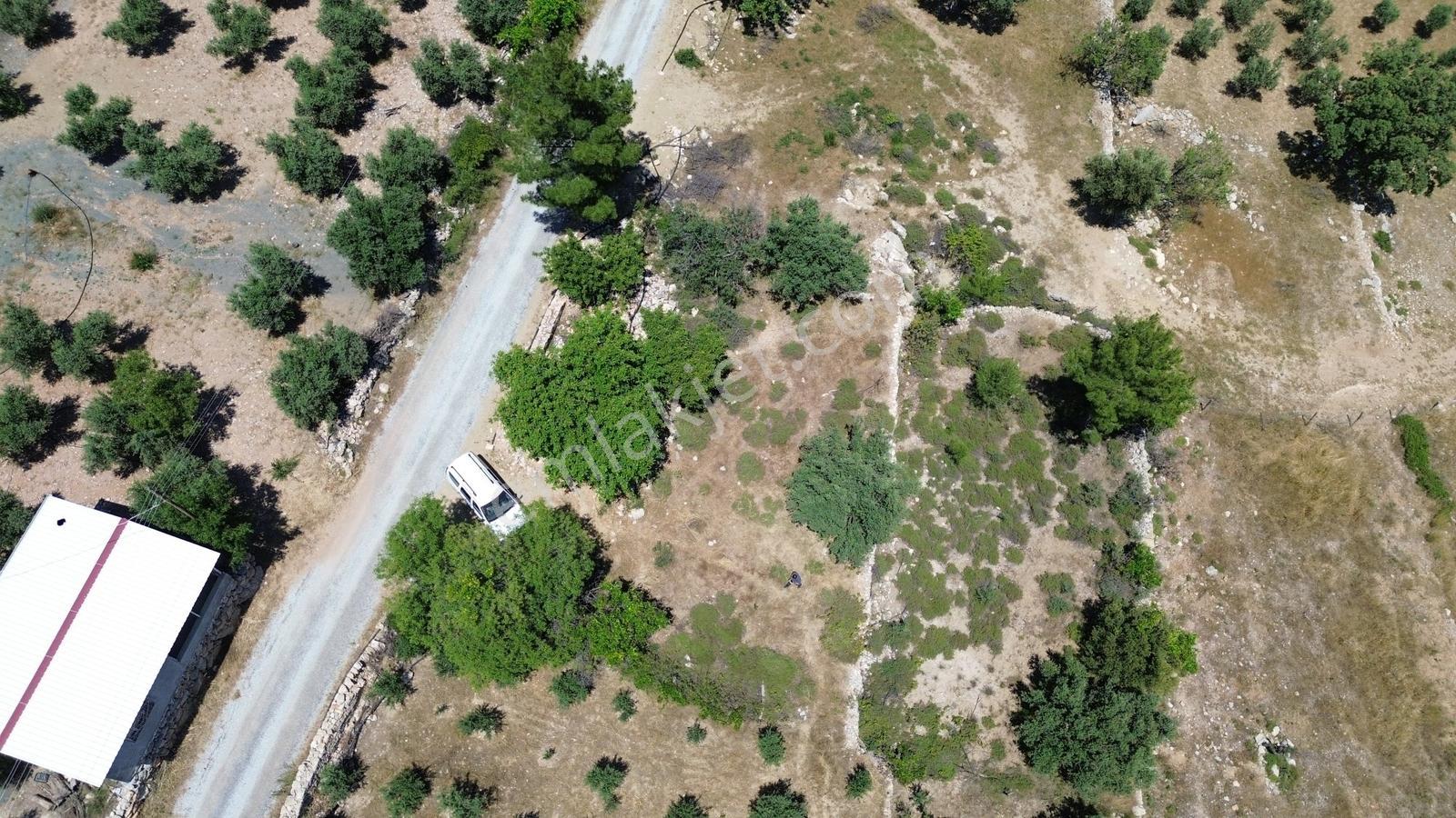 Karakuş Emlaktan Hasancık'ta 706 M² Yaylalık Satılık Arsa - Görsel 4
