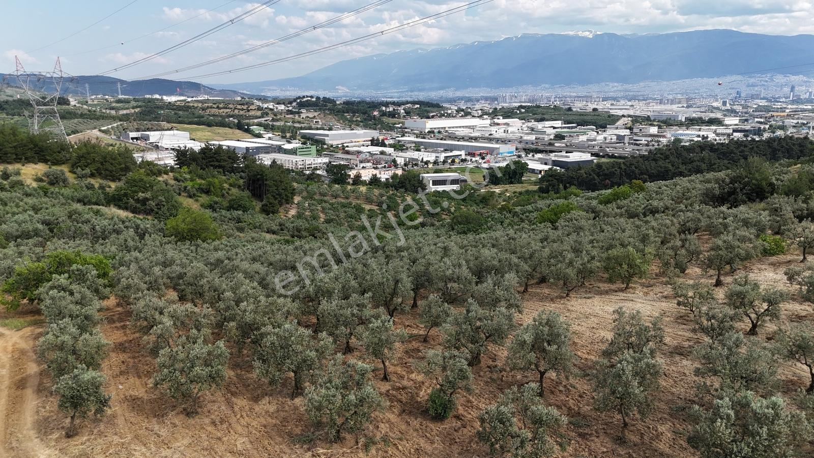 Remaxadvantage Ovaakça Merkez Müstakil Tapu 7102m2 Satılık Tarla - Görsel 11