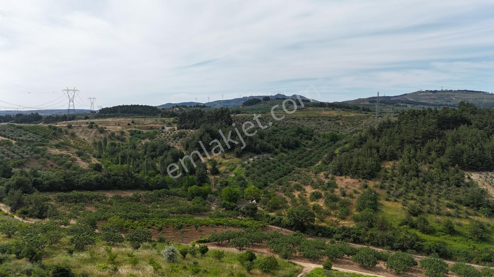 Remaxadvantage Ovaakça Merkez Müstakil Tapu 7102m2 Satılık Tarla - Görsel 17