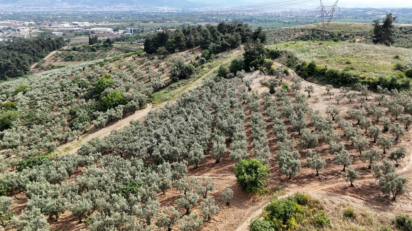 Remaxadvantage Ovaakça Merkez Müstakil Tapu 7102m2 Satılık Tarla