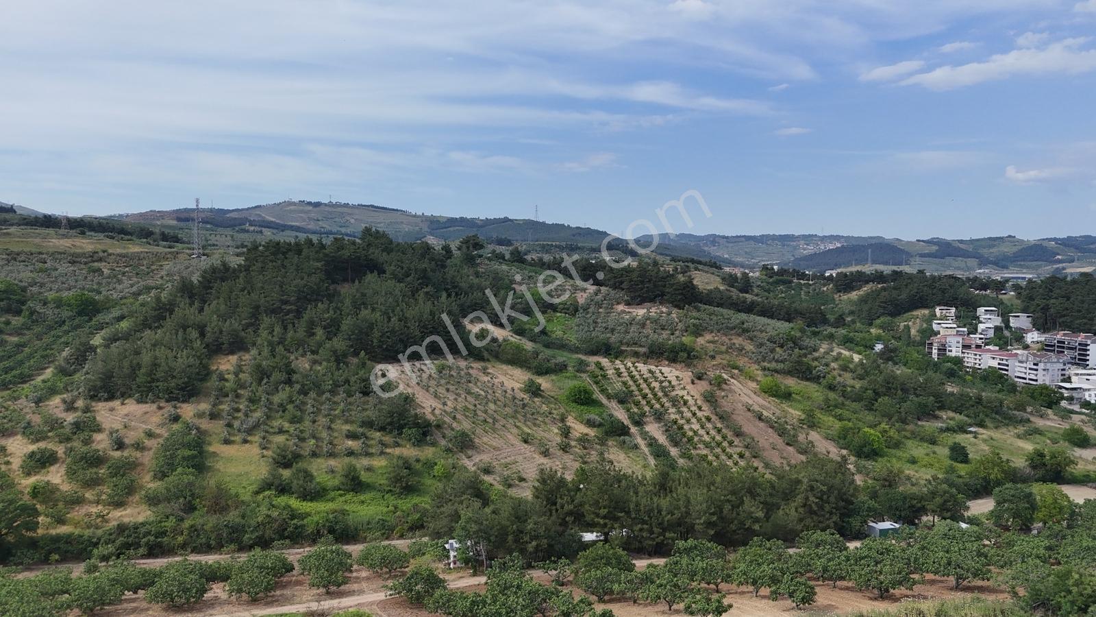 Remaxadvantage Ovaakça Merkez Müstakil Tapu 7102m2 Satılık Tarla - Görsel 15