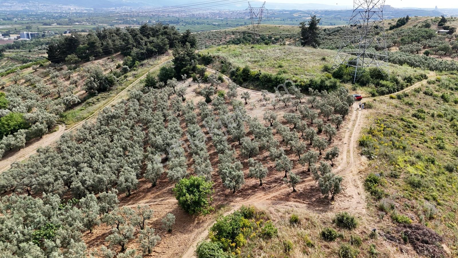 Remaxadvantage Ovaakça Merkez Müstakil Tapu 7102m2 Satılık Tarla - Görsel 25