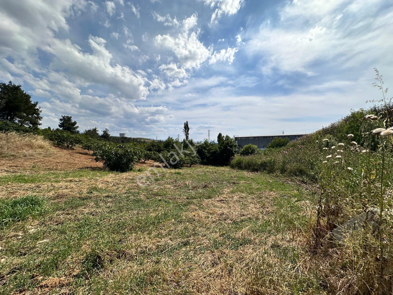 Remaxadvantage Ovaakça Merkez Müstakil Tapu 7102m2 Satılık Tarla - Görsel 6