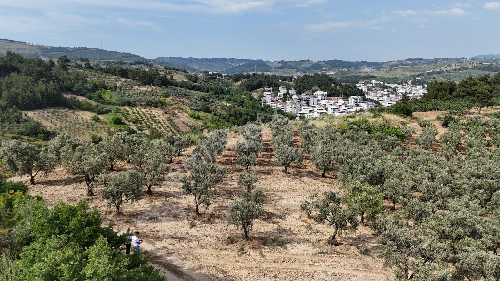 Remaxadvantage Ovaakça Merkez Müstakil Tapu 7102m2 Satılık Tarla - Görsel 28