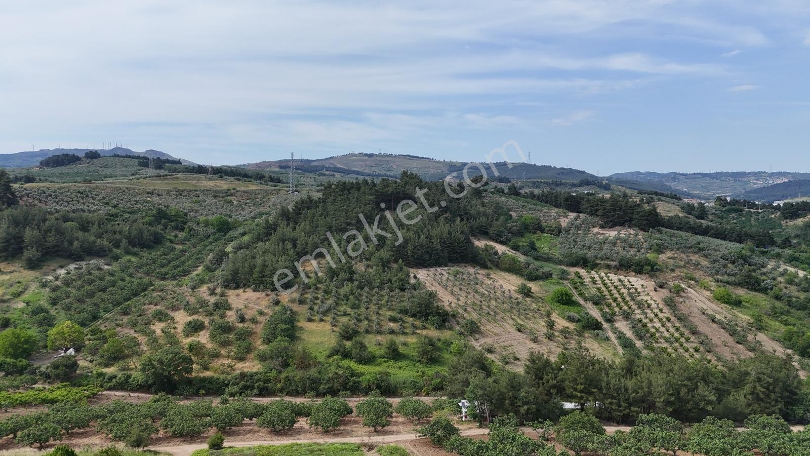 Remaxadvantage Ovaakça Merkez Müstakil Tapu 7102m2 Satılık Tarla - Görsel 16