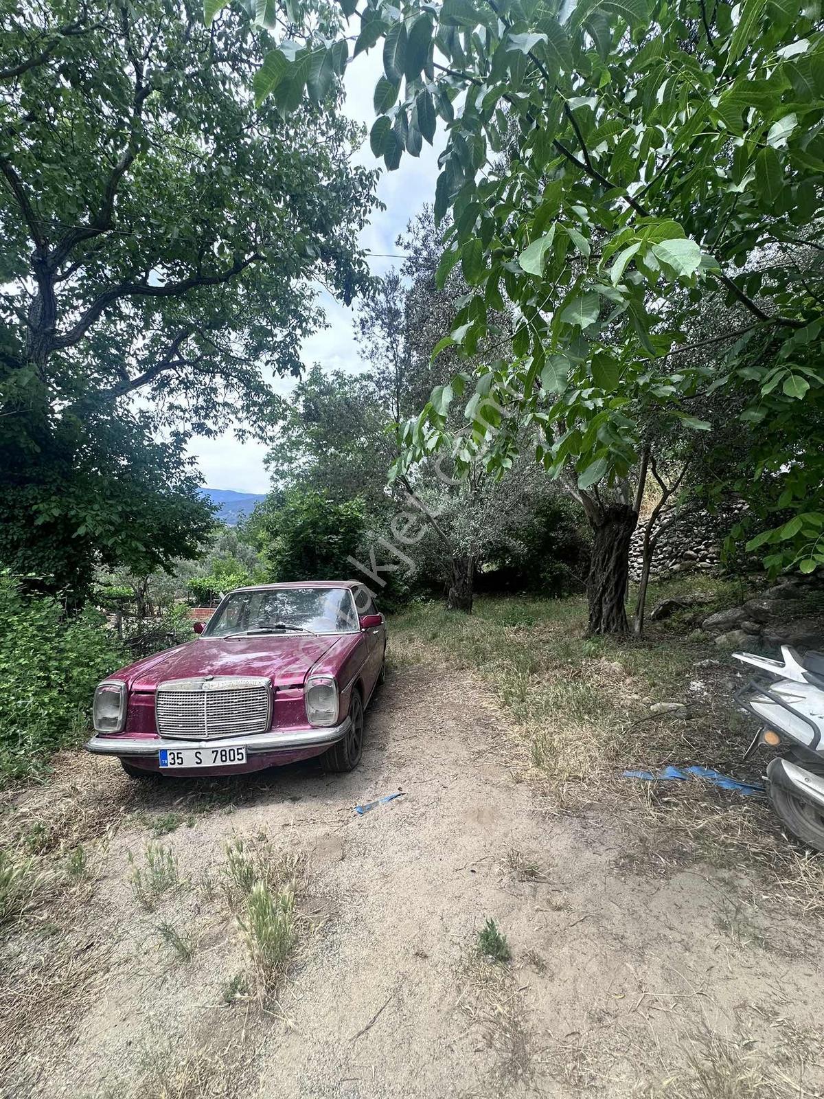 Zeytinli Çay Kenarı İçinde Elk Su Ve Yapı Olan Zeytinlik - Görsel 28