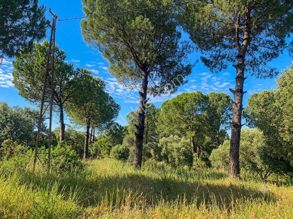 Entelköy Caferli' De Panoramik Ova Manzaralı 950 M² Özel Arsa - Görsel 7