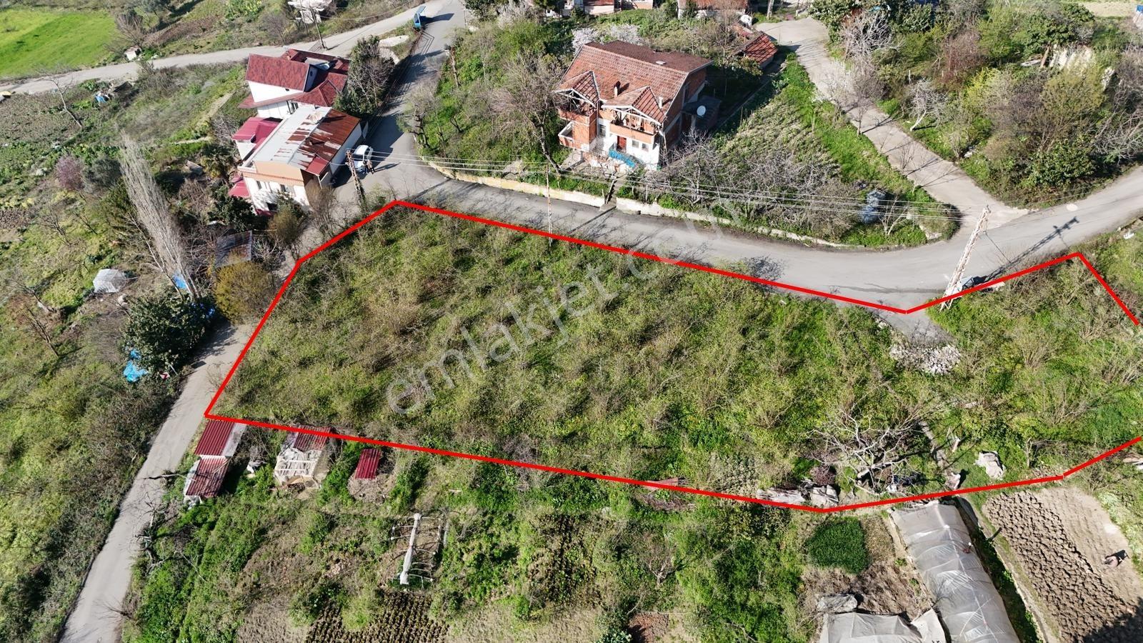 1 Nolu Beşirli Mahallesi'nde Eğimsiz Satılık Arazi.. - Görsel 3