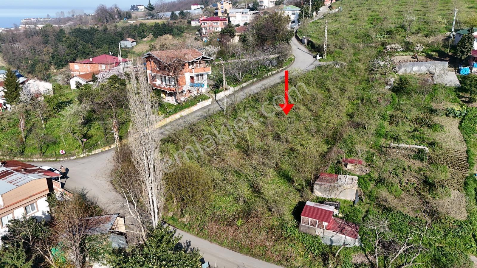 1 Nolu Beşirli Mahallesi'nde Eğimsiz Satılık Arazi.. - Görsel 8