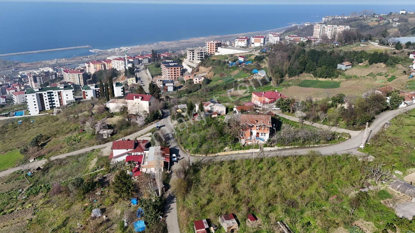 1 Nolu Beşirli Mahallesi'nde Eğimsiz Satılık Arazi.. - Görsel 10
