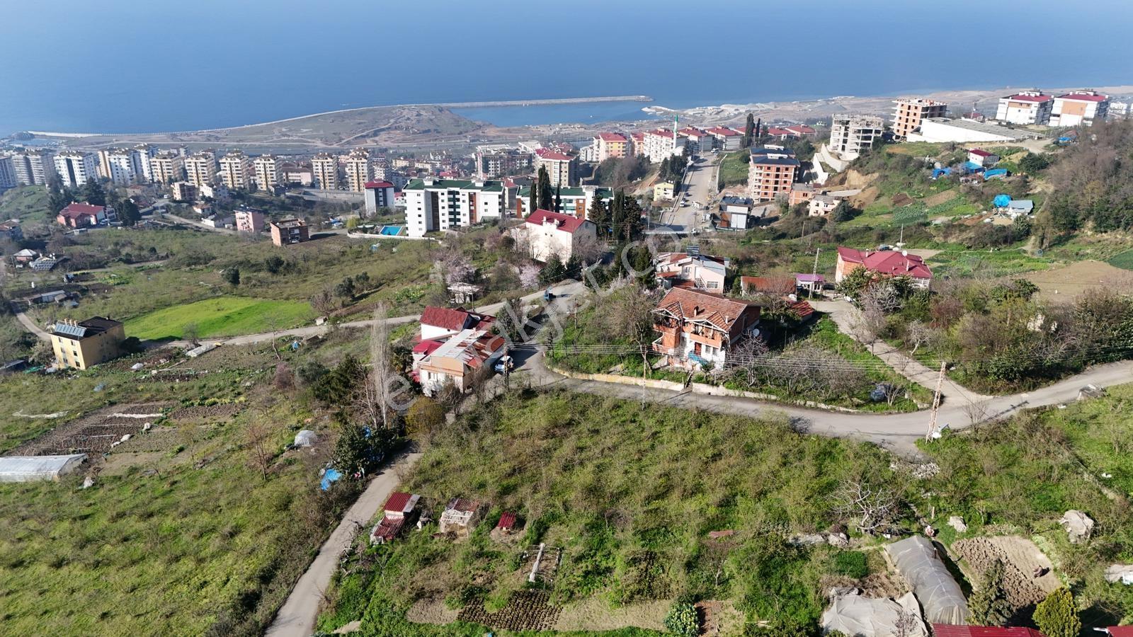 1 Nolu Beşirli Mahallesi'nde Eğimsiz Satılık Arazi.. - Görsel 9