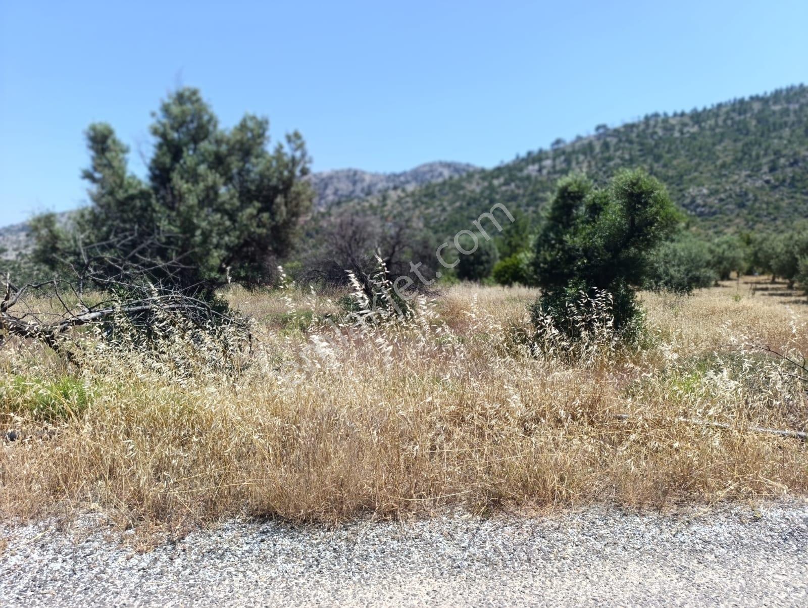 Karakuş Emlaktan Hasancık'ta Manzaralı 839 M2 Satılık Arsa - Görsel 17