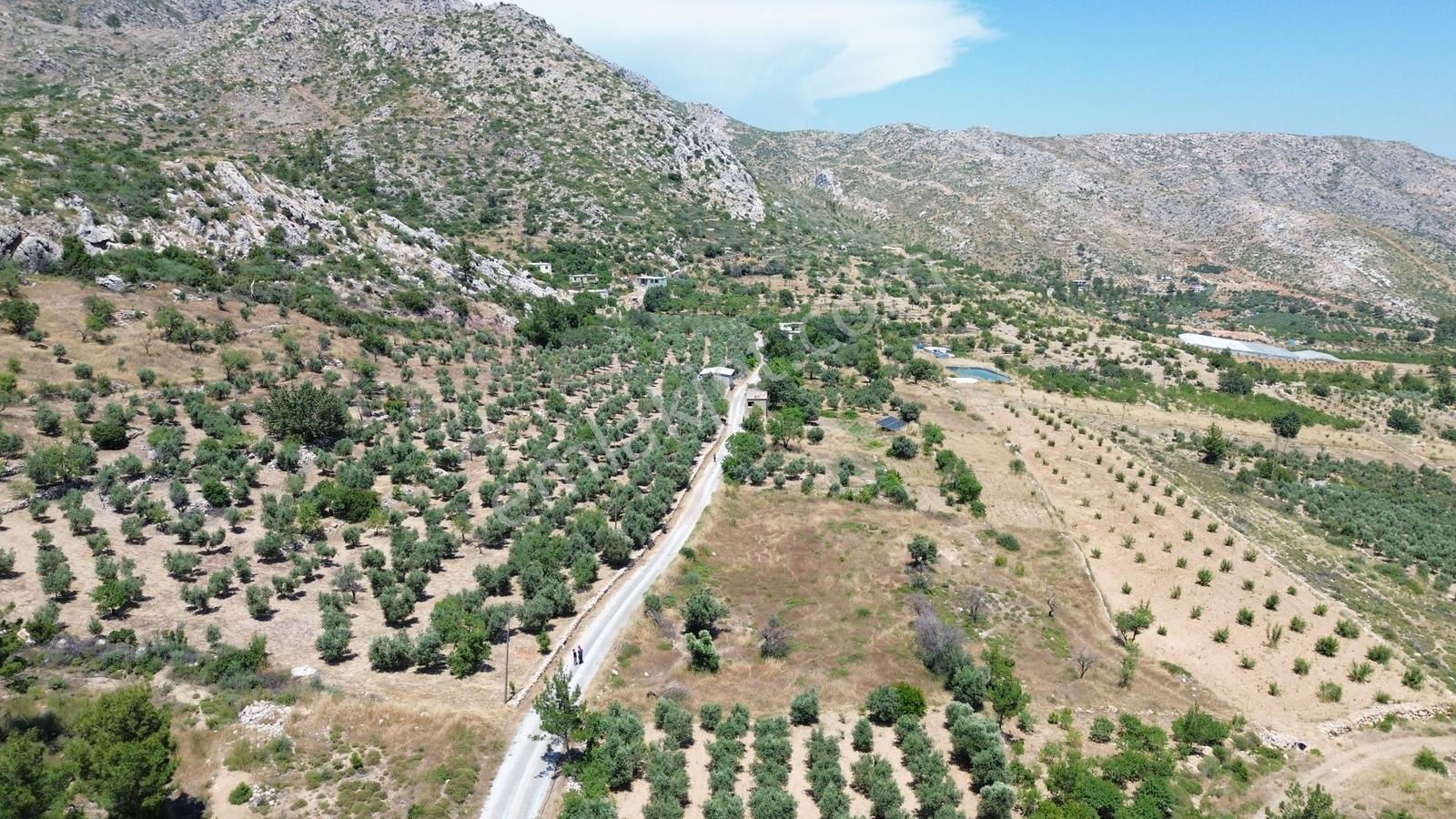 Karakuş Emlaktan Hasancık'ta Manzaralı 839 M2 Satılık Arsa - Görsel 6