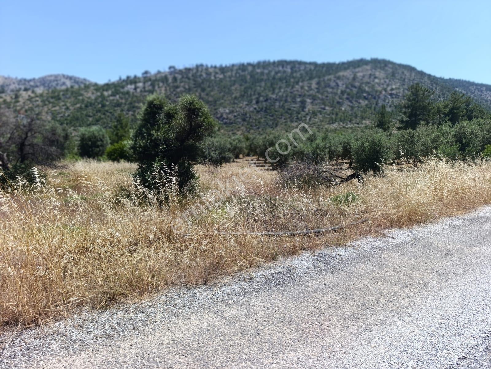 Karakuş Emlaktan Hasancık'ta Manzaralı 839 M2 Satılık Arsa - Görsel 19