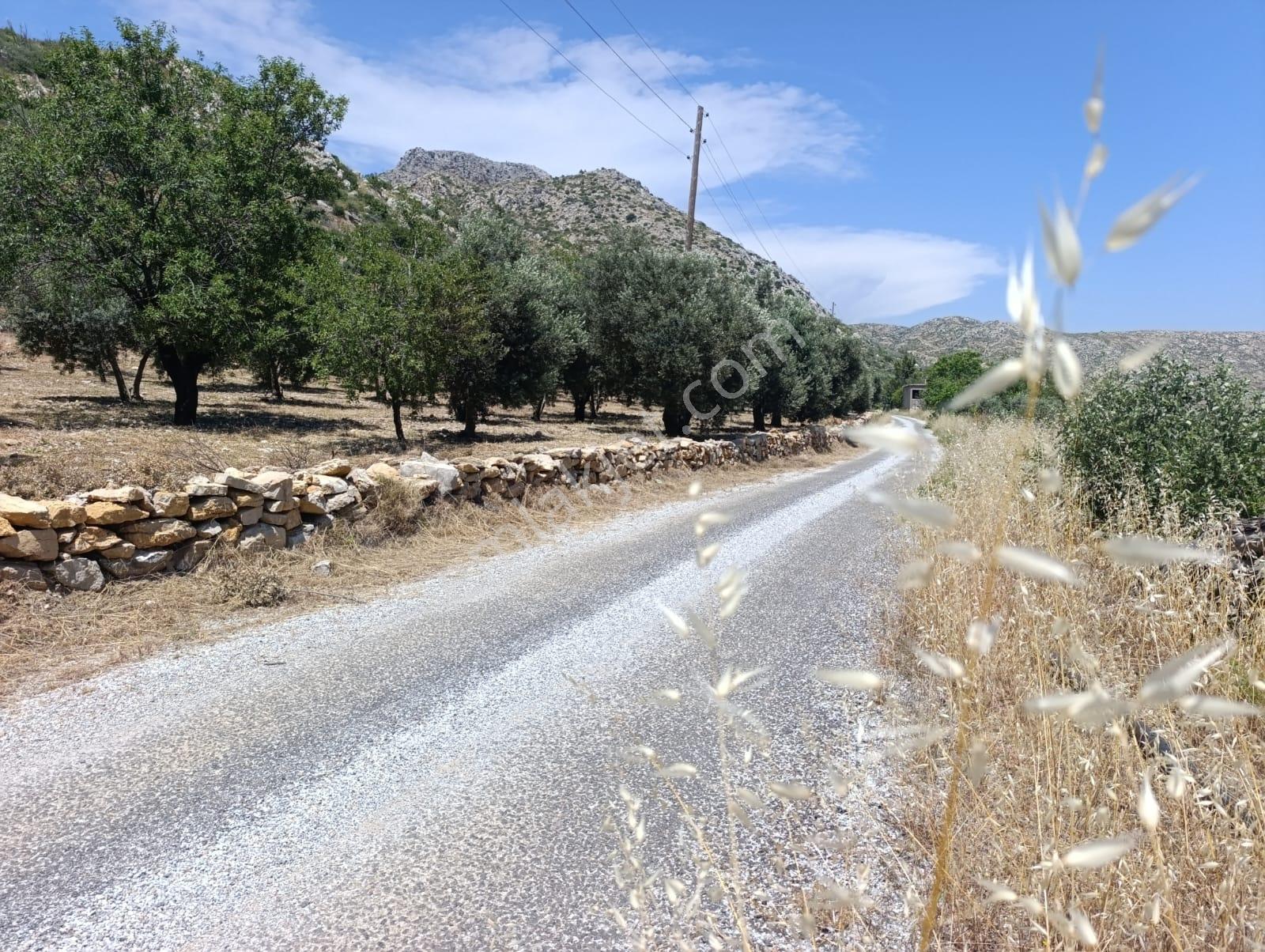 Karakuş Emlaktan Hasancık'ta Manzaralı 839 M2 Satılık Arsa - Görsel 9