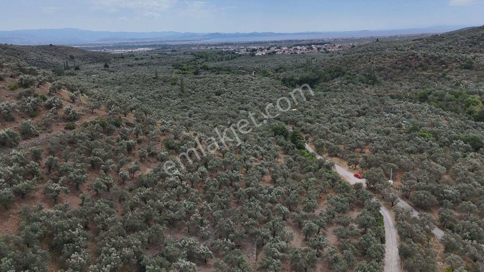Sv 'den 13.600 M2 Asfalt Yolacephe Full Deniz Manzaralı - Görsel 5