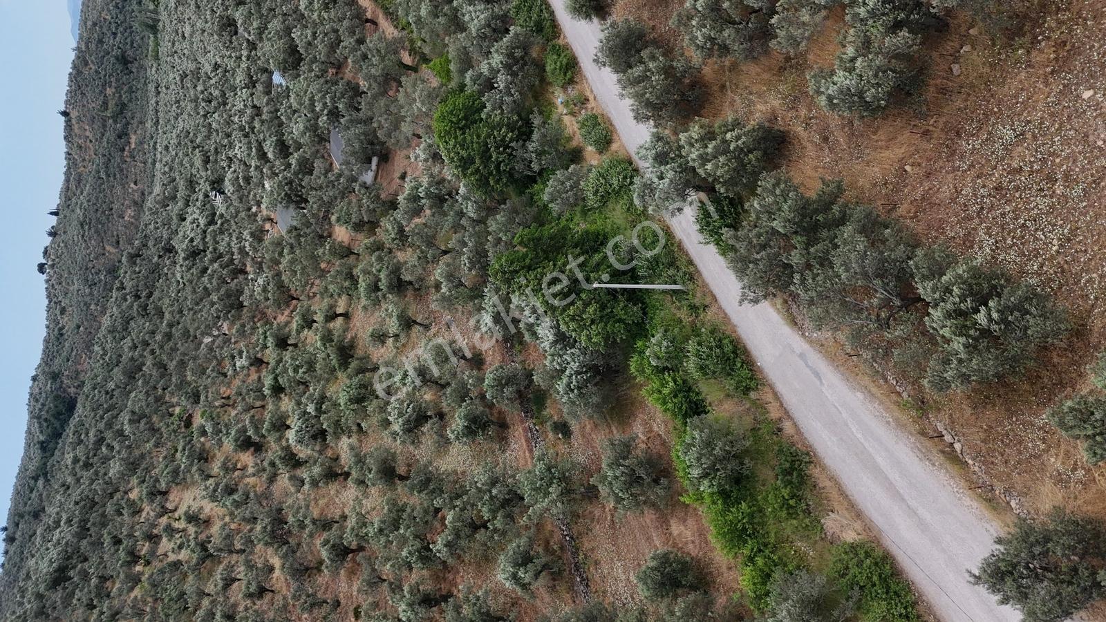 Sv 'den 13.600 M2 Asfalt Yolacephe Full Deniz Manzaralı - Görsel 10