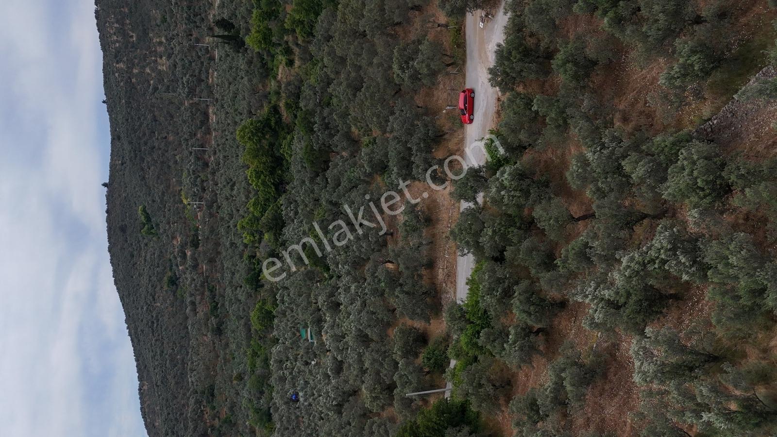Sv 'den 13.600 M2 Asfalt Yolacephe Full Deniz Manzaralı - Görsel 15
