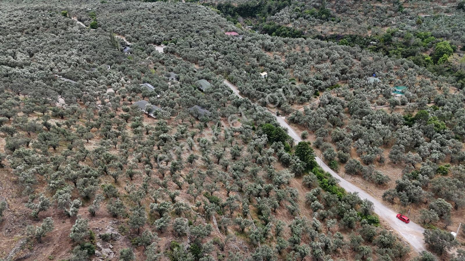 Sv 'den 13.600 M2 Asfalt Yolacephe Full Deniz Manzaralı - Görsel 8