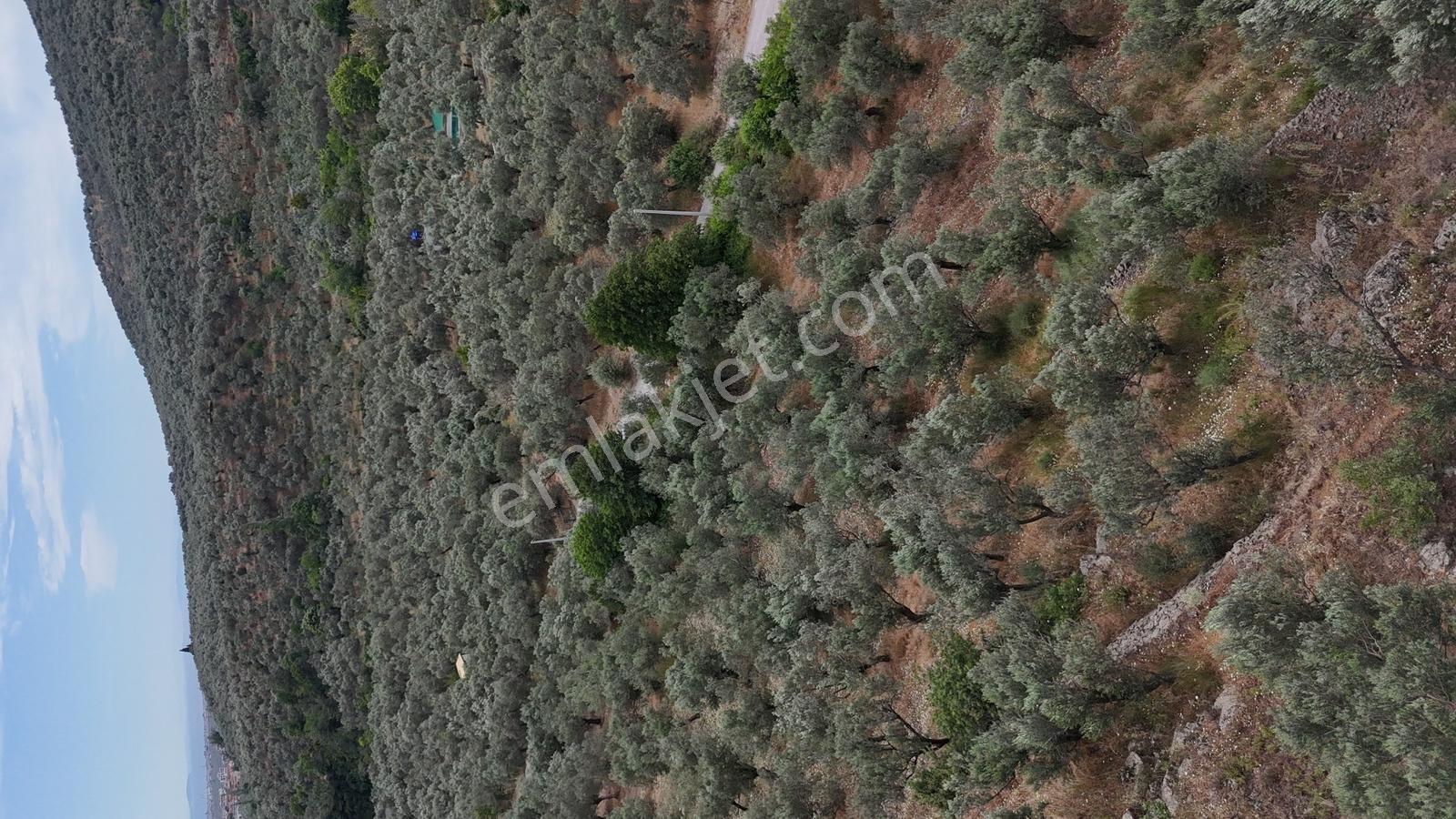 Sv 'den 13.600 M2 Asfalt Yolacephe Full Deniz Manzaralı - Görsel 18