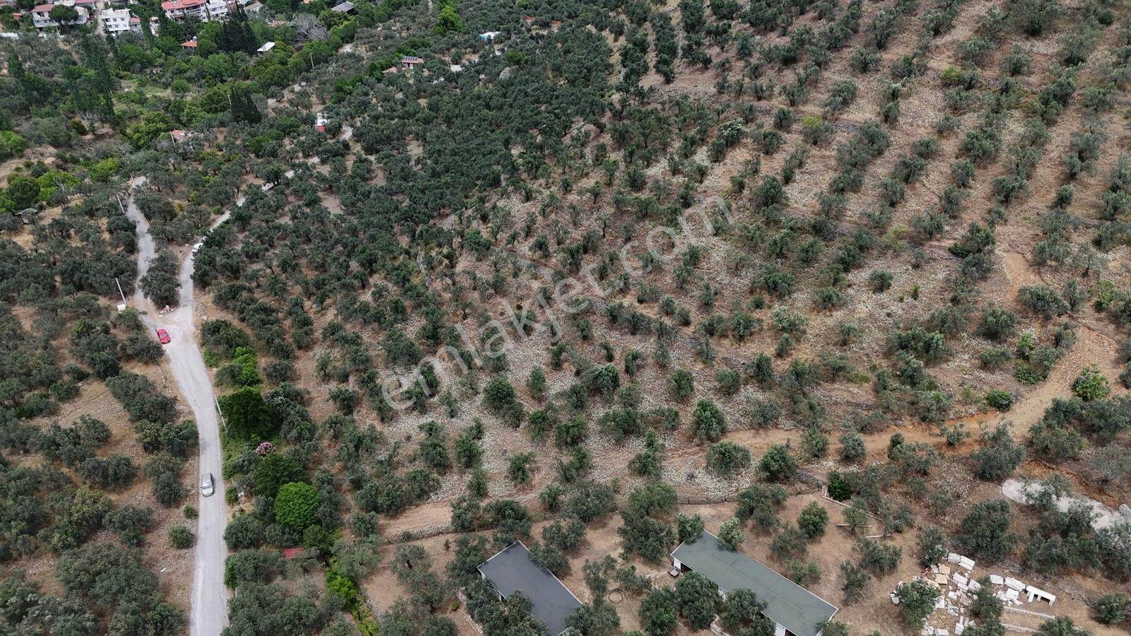 Sv 'den 13.600 M2 Asfalt Yolacephe Full Deniz Manzaralı - Görsel 4