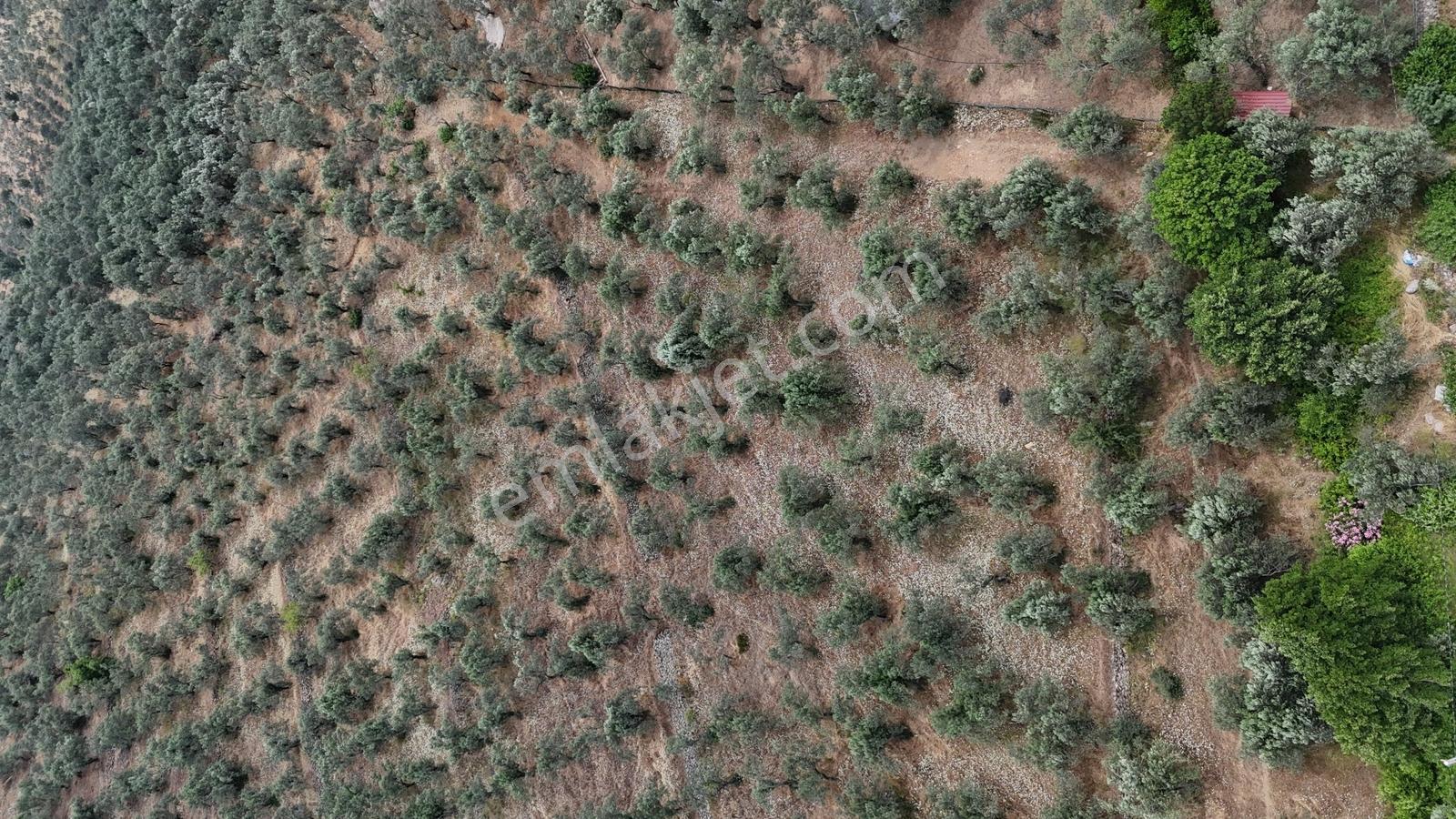 Sv 'den 13.600 M2 Asfalt Yolacephe Full Deniz Manzaralı - Görsel 11