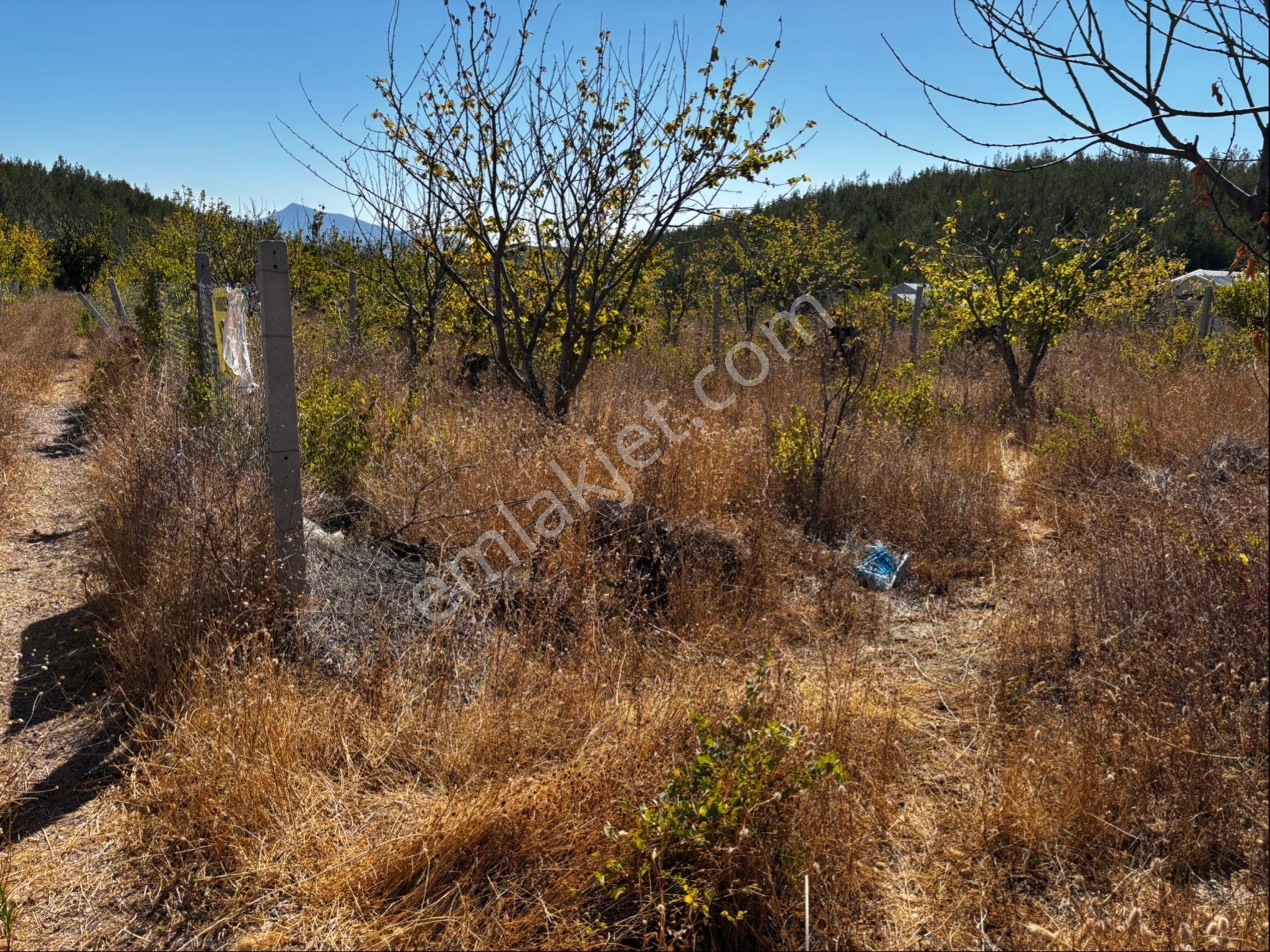 Yakaköy’de 309 M2 Tel Örgülü Meyve Ağaçlı Bahçe - Görsel 4