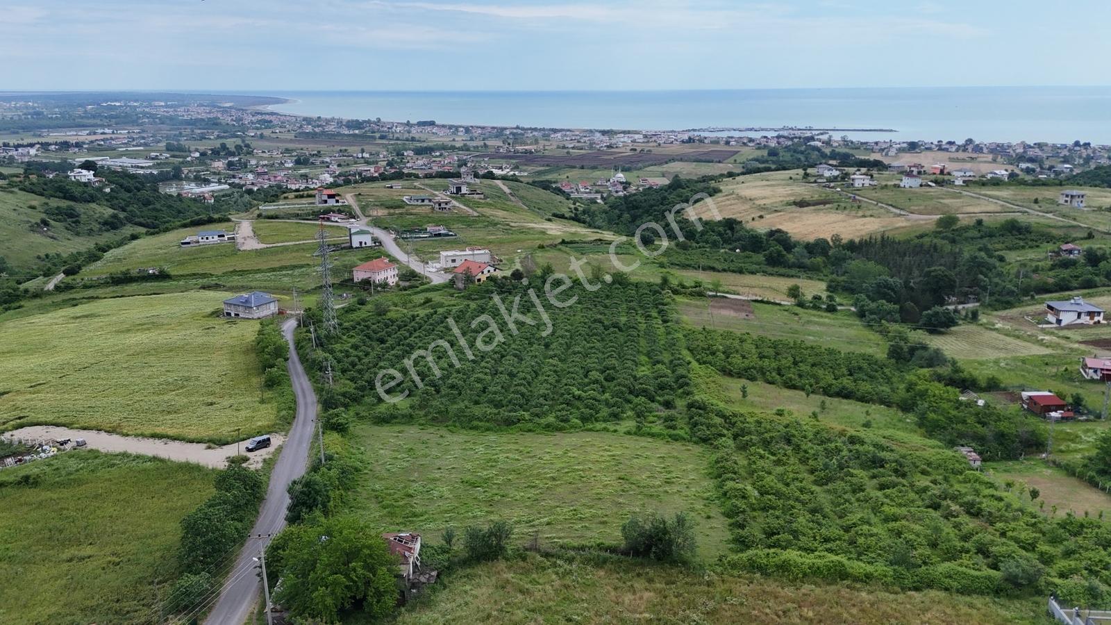 Taşkelik'te Deniz & Doğa Manzaralı 500m² Villa İmarlı Kupon Arsa - Görsel 16