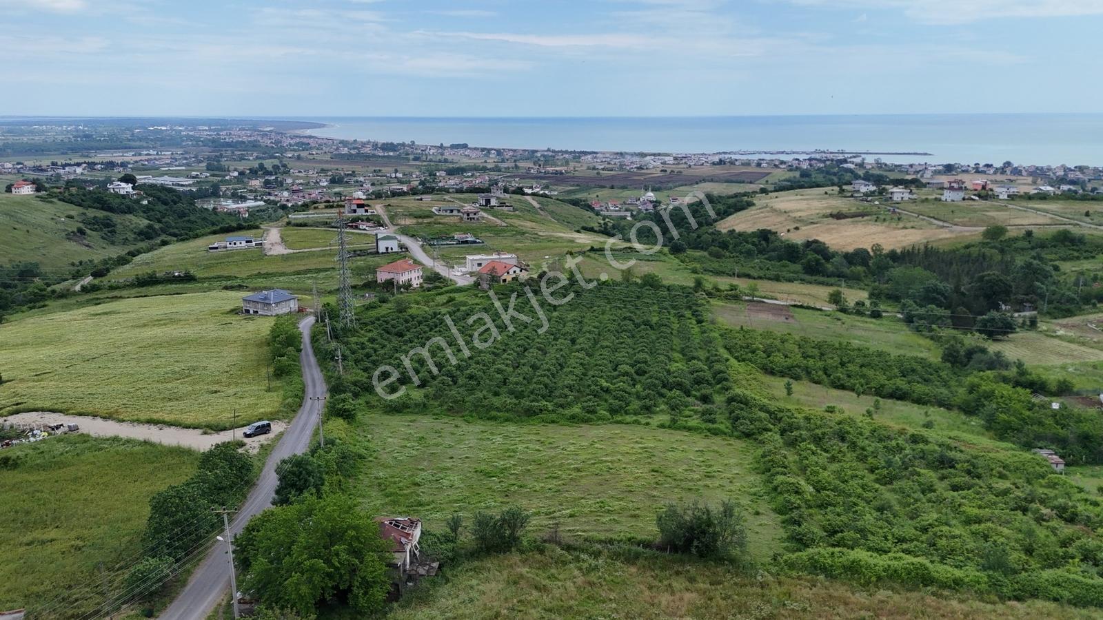 Taşkelik'te Deniz & Doğa Manzaralı 500m² Villa İmarlı Kupon Arsa - Görsel 6