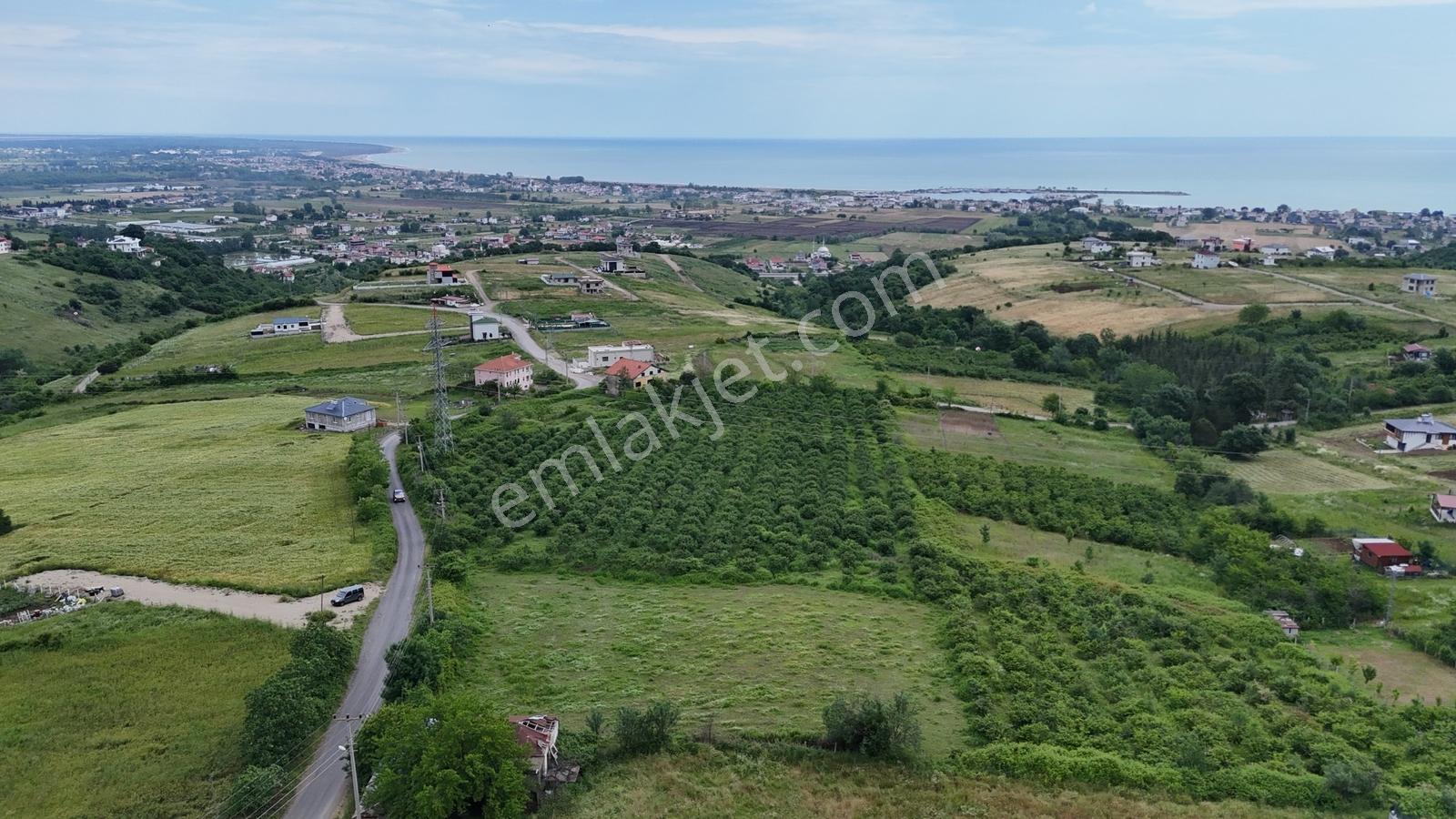 Taşkelik'te Deniz & Doğa Manzaralı 500m² Villa İmarlı Kupon Arsa - Görsel 15