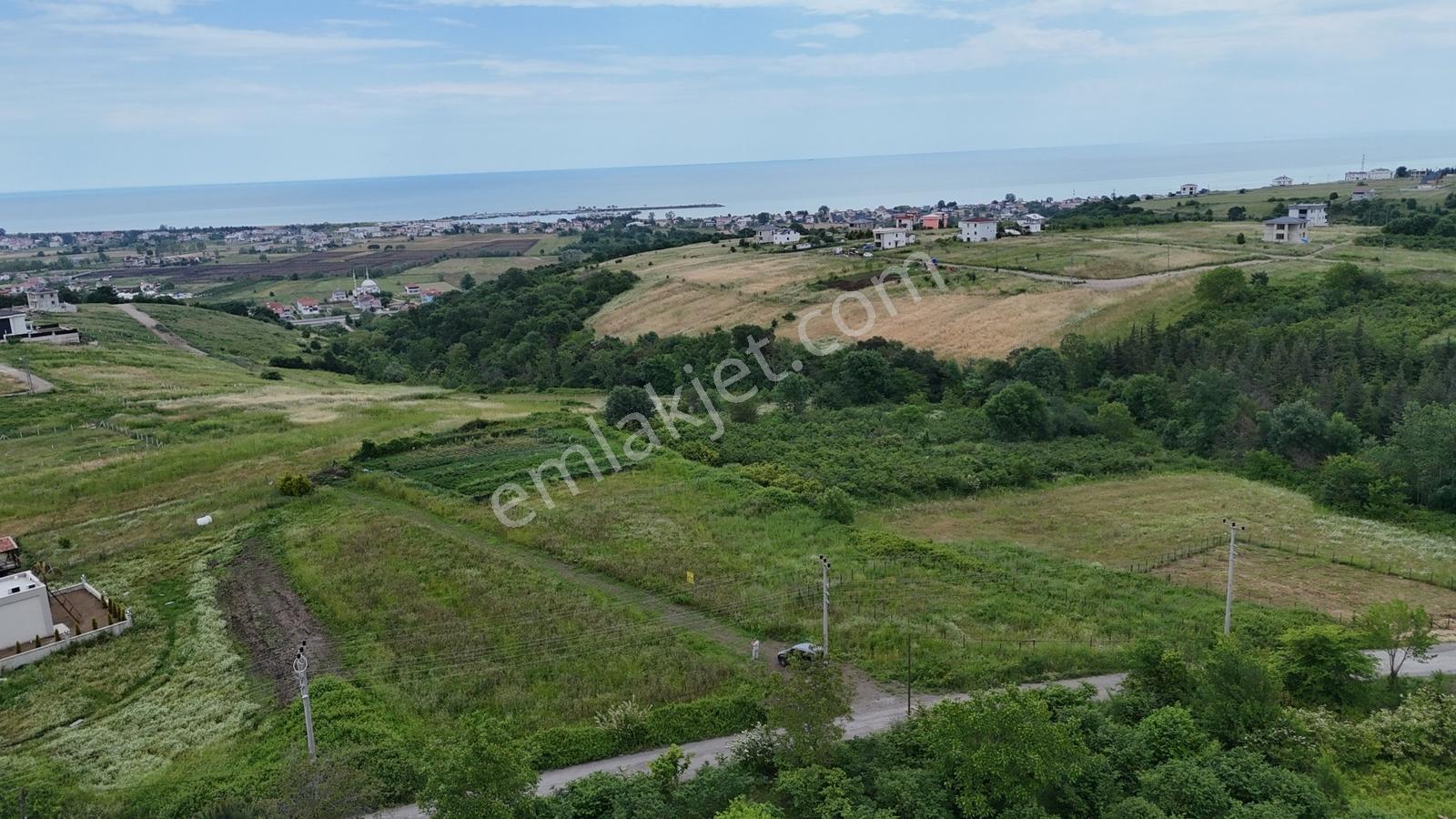 Taşkelik'te Geniş Bahçeli Lüks Villaya Uygun 648m² Arsa - Görsel 15