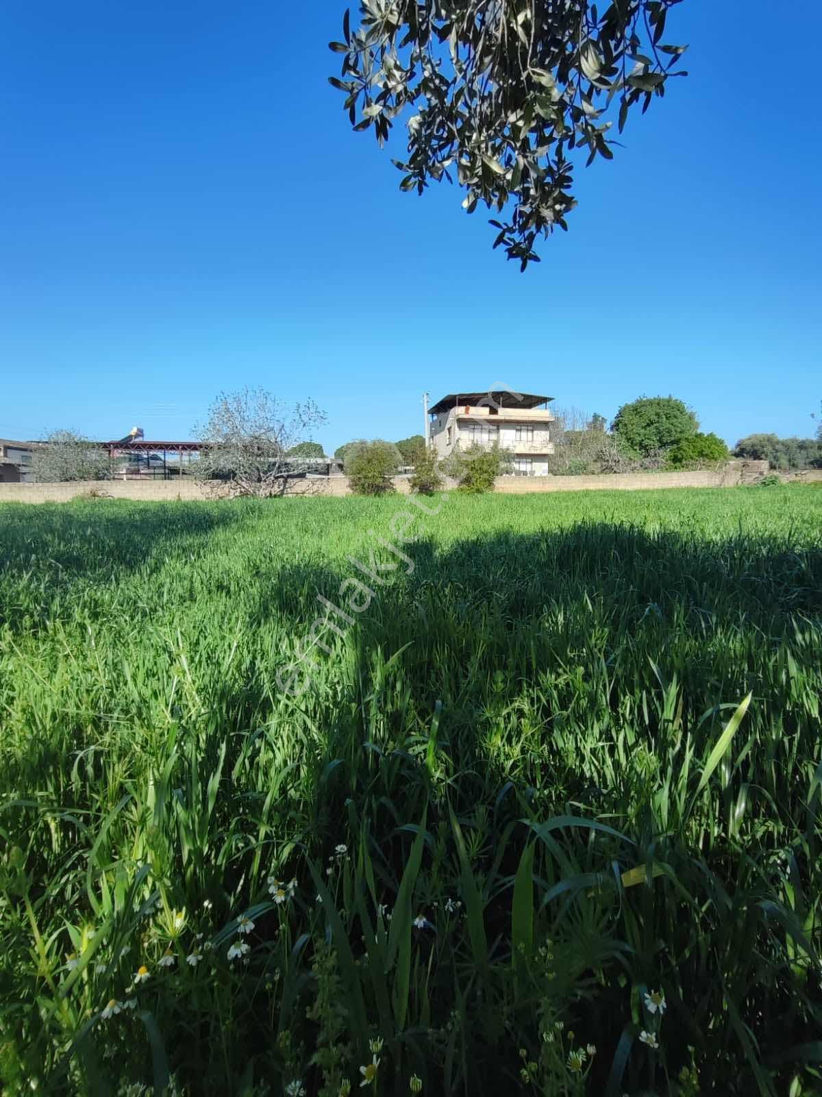 Tire Akar Emlaktan Satılık Villa İmarlı Arsa - Görsel 14